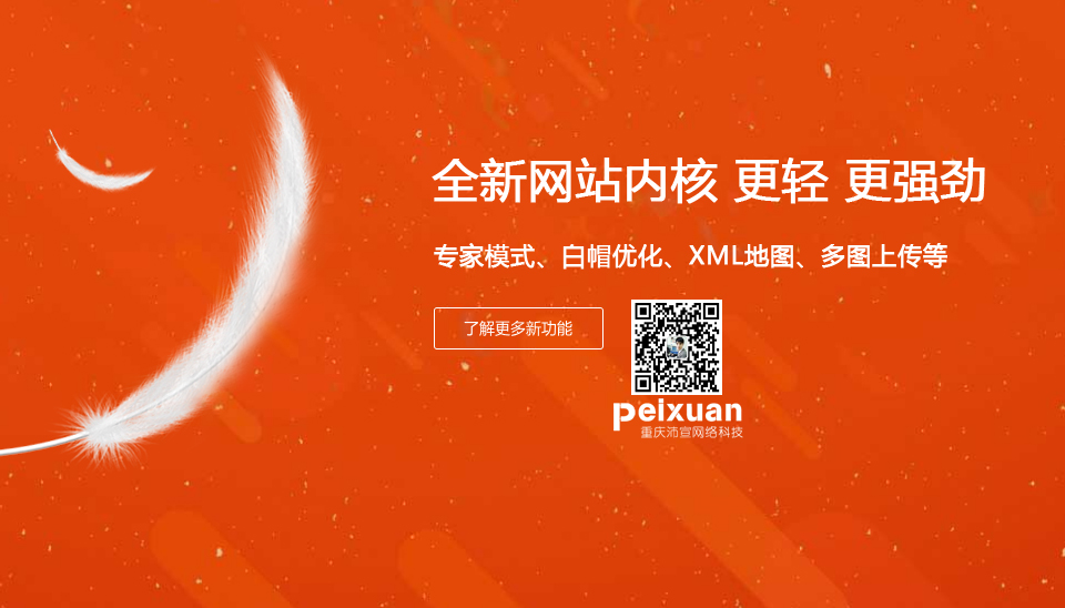 重慶楊家坪網(wǎng)站建設(shè)_楊家坪網(wǎng)站制作_效果好_收錄快