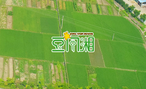 簽約金穗農林發(fā)展有限公司網站建設